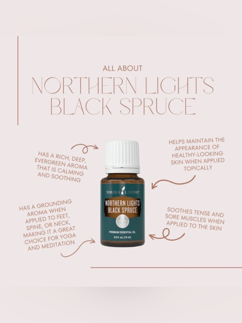 Young Living Northern Lights Black Spruce Essential Oil 5 ml Bottle Brand New - Picture 9 of 11